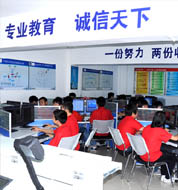 IT专业人才需求调查
