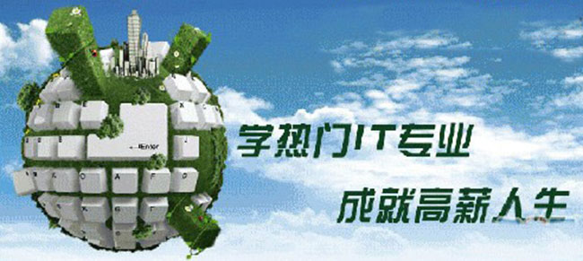 收入证明_2004到2018收入成果