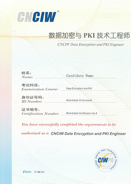 ݼPKIʦ