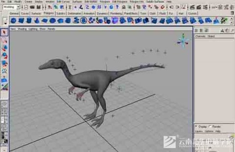 重塑侏罗纪的心跳 新手必学之恐龙建模